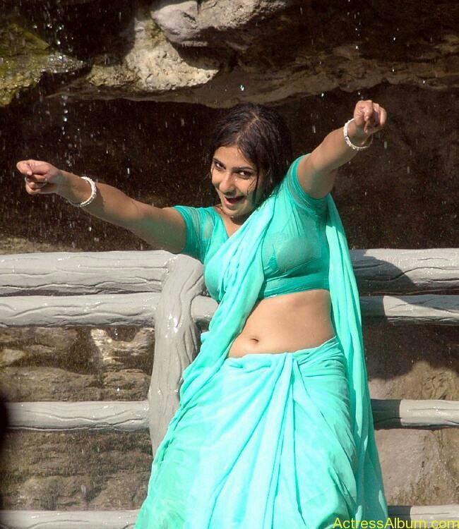 South actress in wet blouse and saree, showing hot navel photos