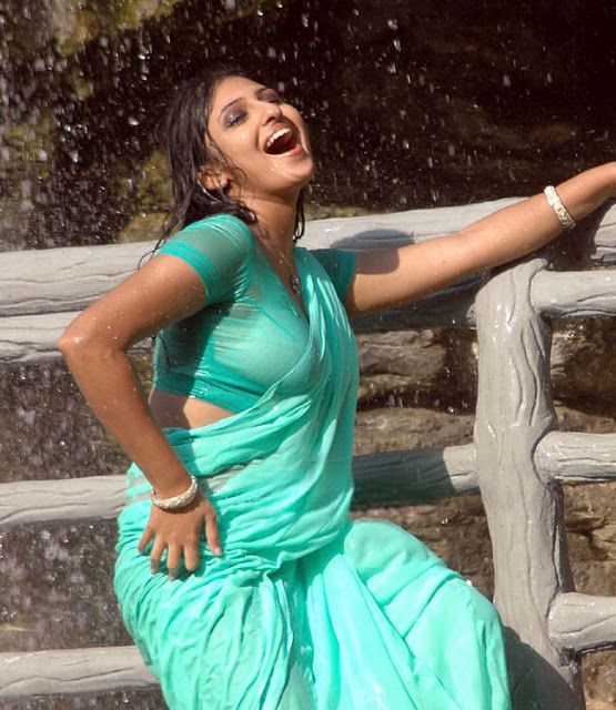 South Actress in Wet Blouse and Saree Hot Photos, Actress Navel and Armpits show in wet saree and sleeveless blouse